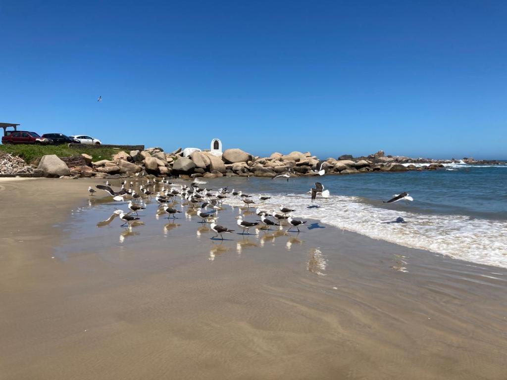Apto Com Vista Para O Mar E O Farol - Loft 323 Laguna Dış mekan fotoğraf
